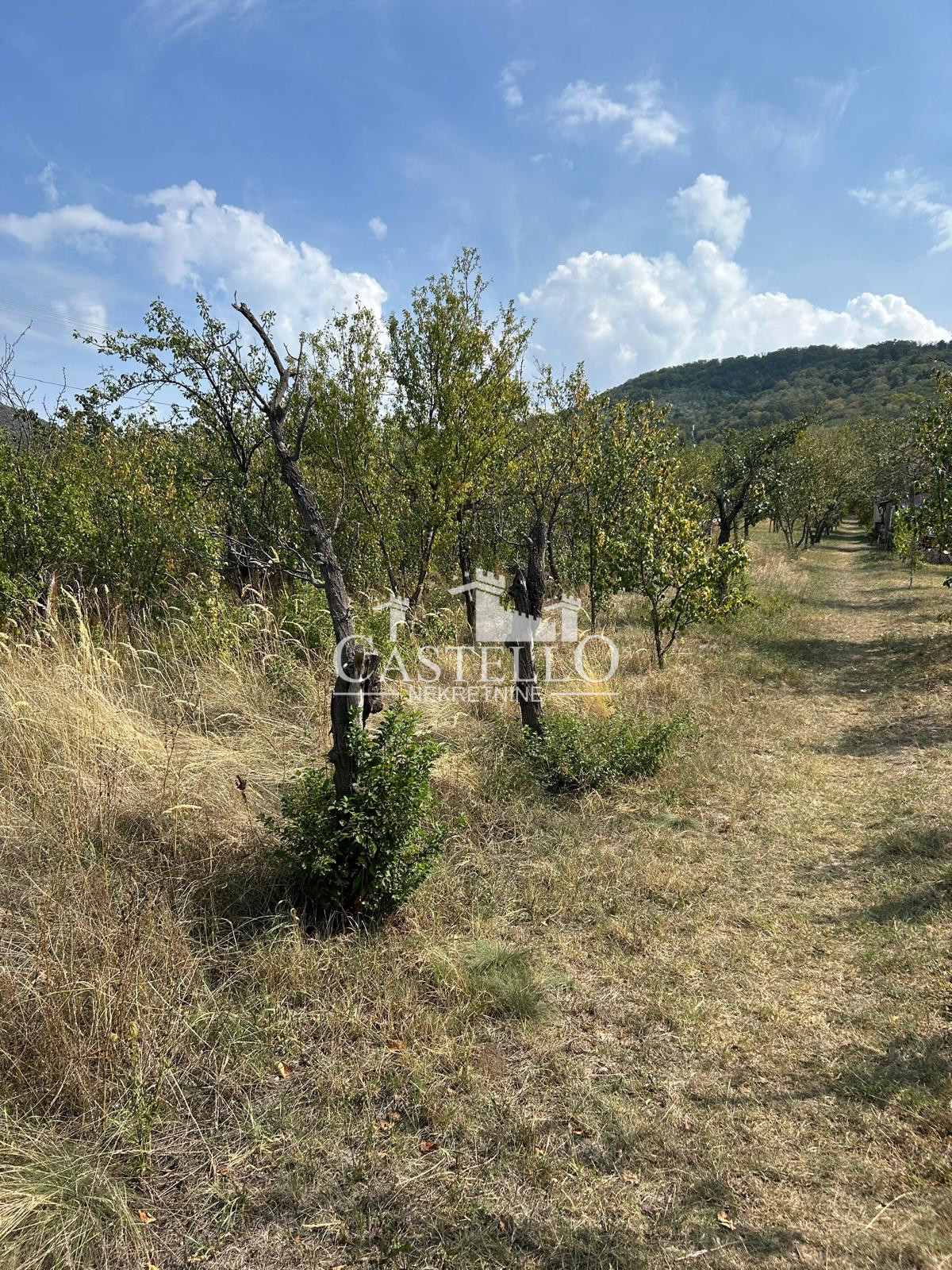 5-80-Na-prodaju-plac-na-Guduričkom-putu-Potes-Kozluk-02