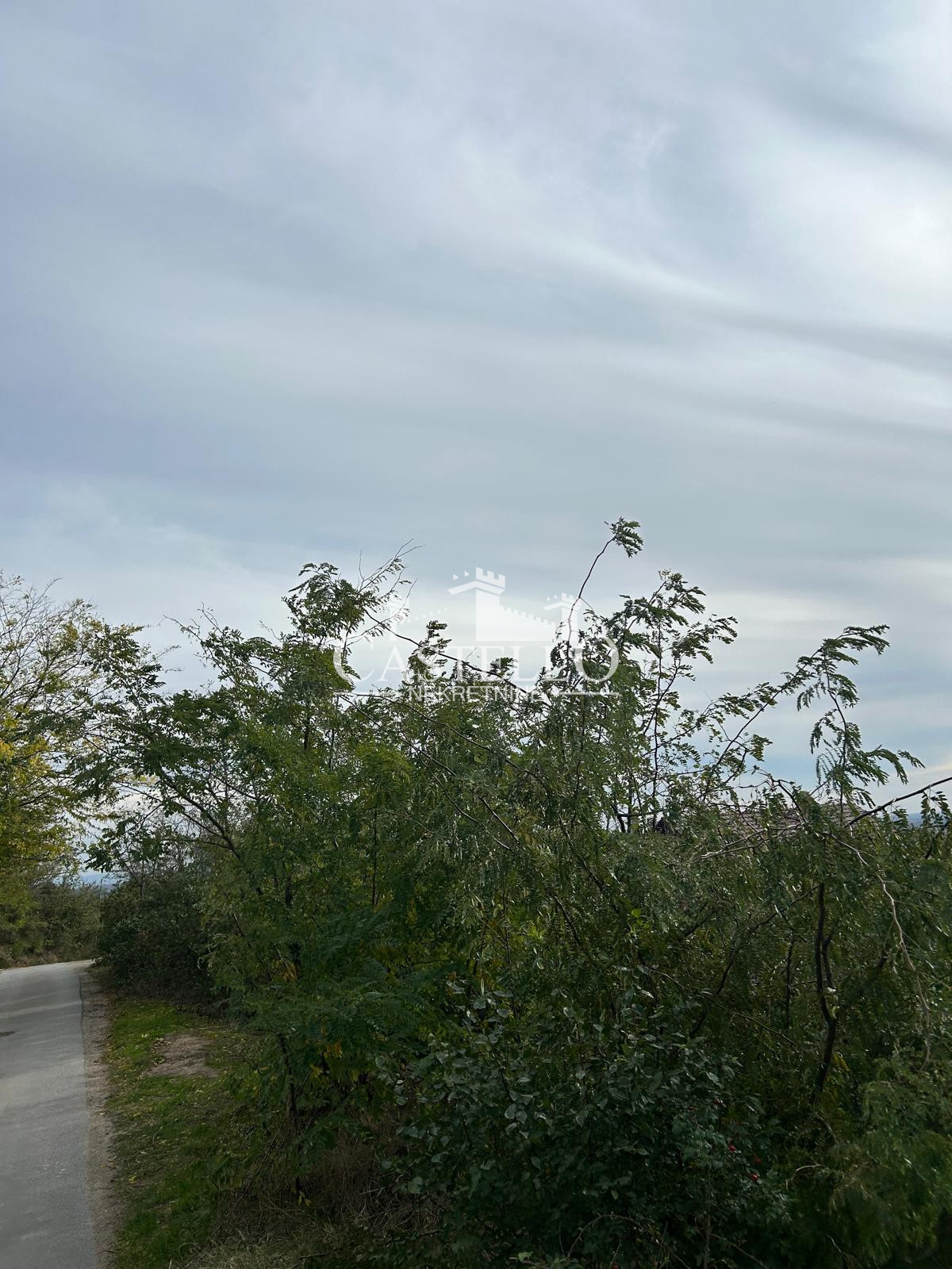 5-90-Na-prodaju-plac-u-podnožju-vršačkog-brega-07