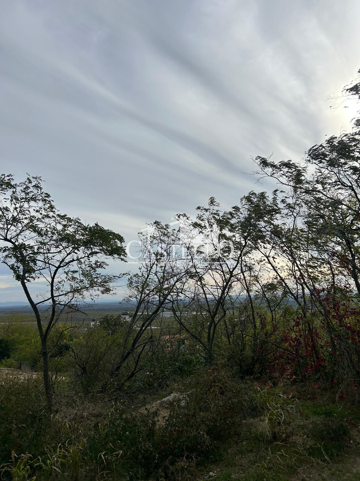 5-90-Na-prodaju-plac-u-podnožju-vršačkog-brega-08