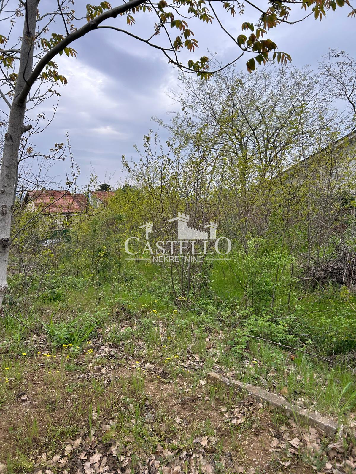 5-98-Na-prodaju-plac-u-podnožju-vršačkog-brega-02