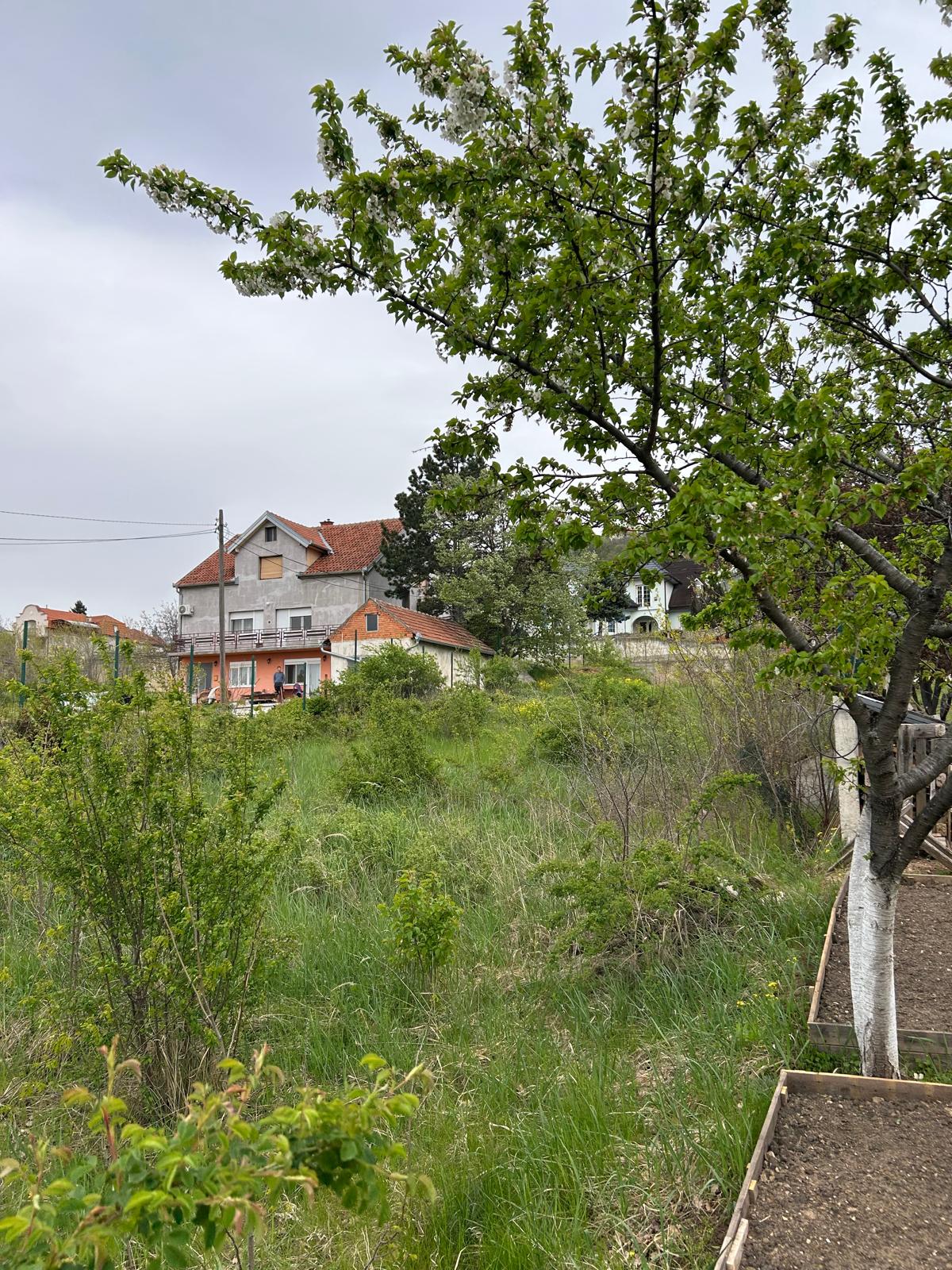 Na prodaju plac u podnožju vršačkog brega Vršac
