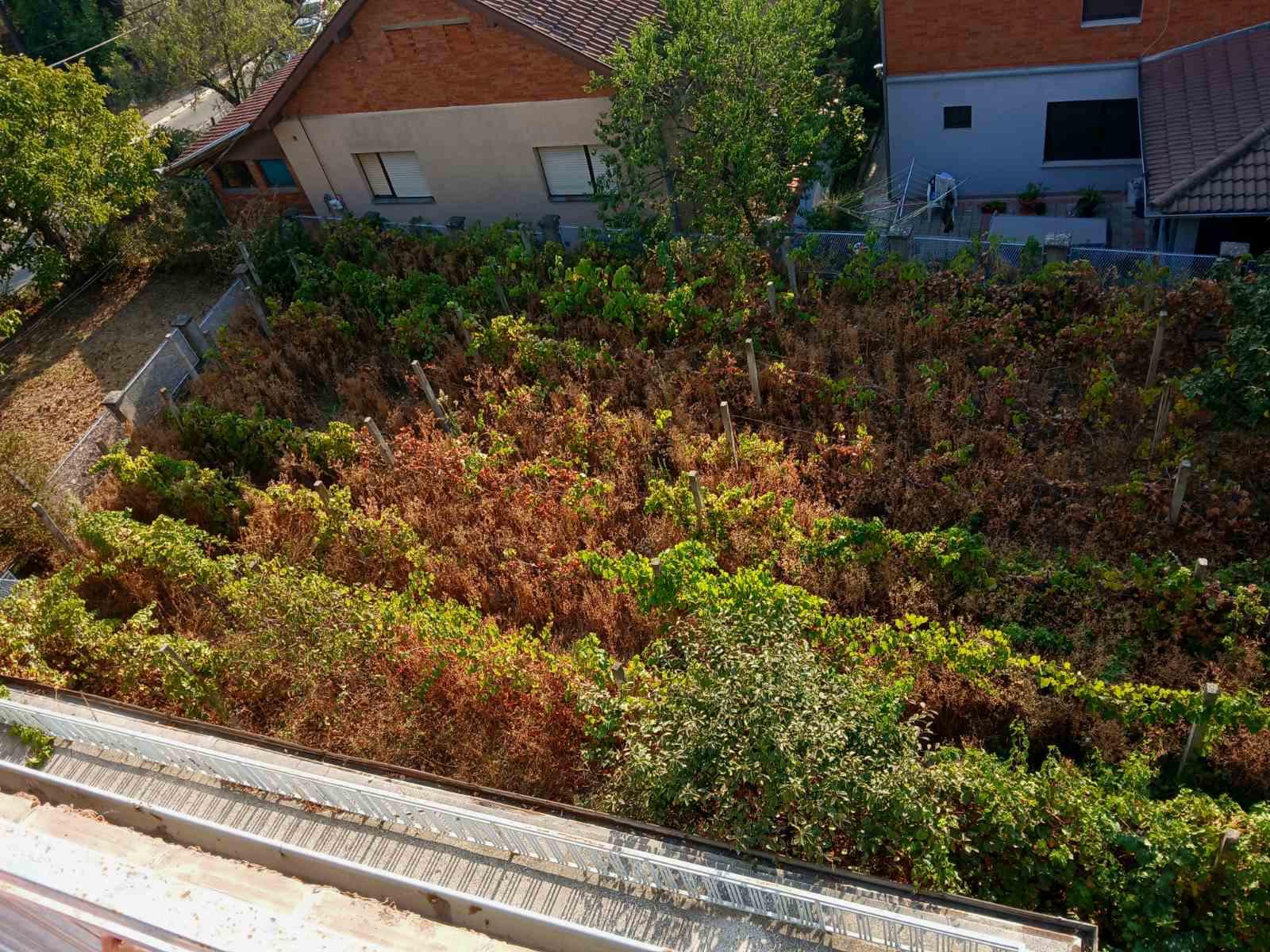 Na prodaju plac u podnožju Vršačkog brega Vršac