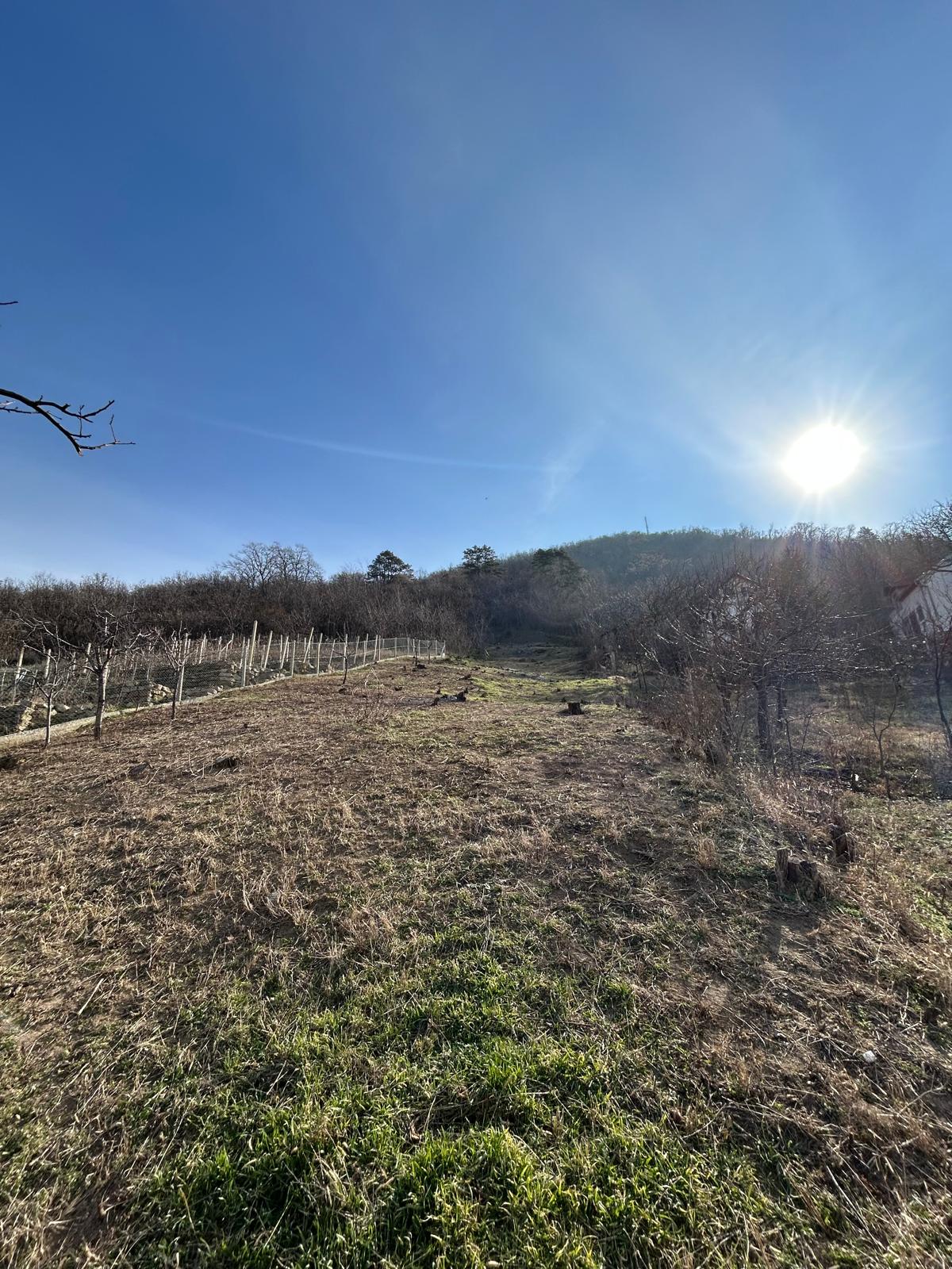 Na prodaju plac u podnožju vršačkog brega Vršac