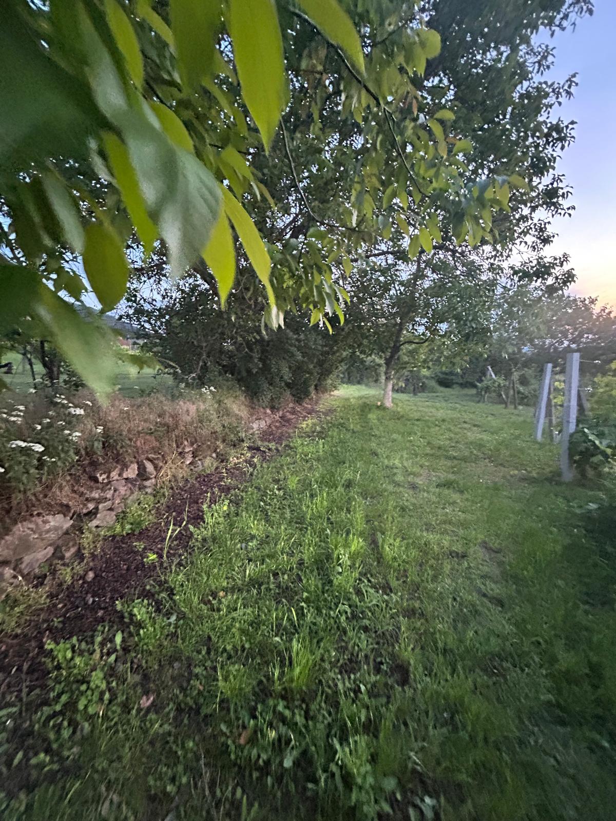 Na prodaju plac na Guduričkom putu Vršac