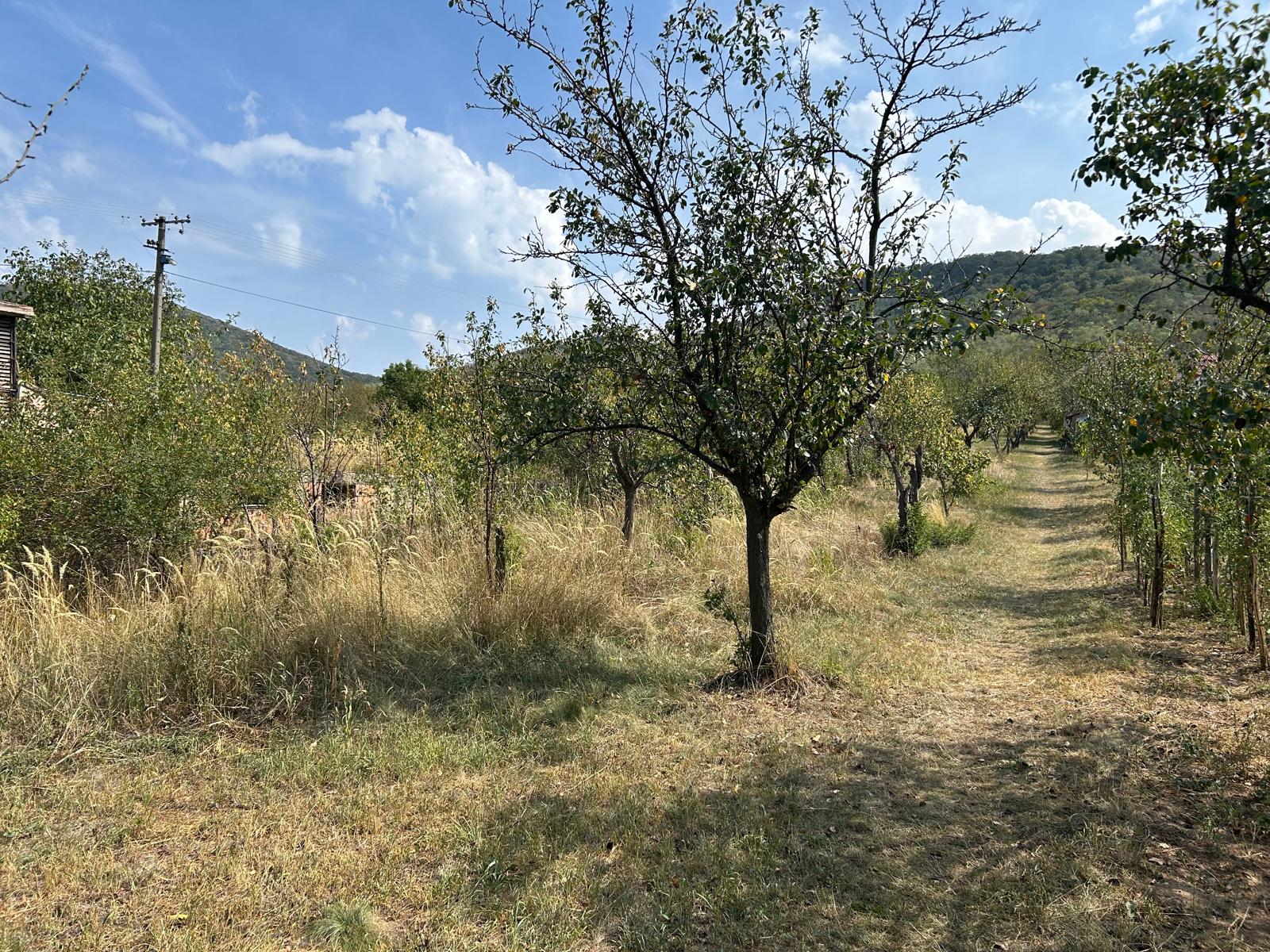 Na prodaju plac na Guduričkom putu - Potes Kozluk Vršac